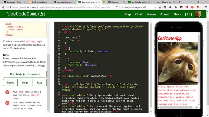 stuck on the html size your images challenge the freecodecamp forum html img size