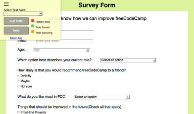 fcc survey form project feedback the freecodecamp forum survey form
